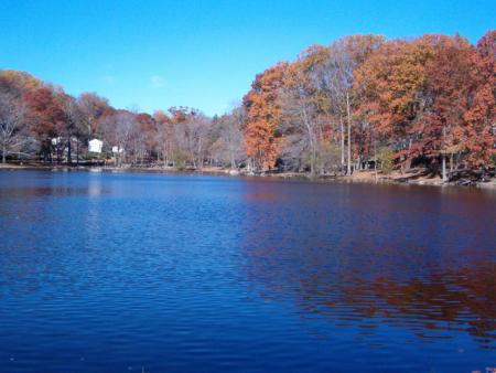 The lake